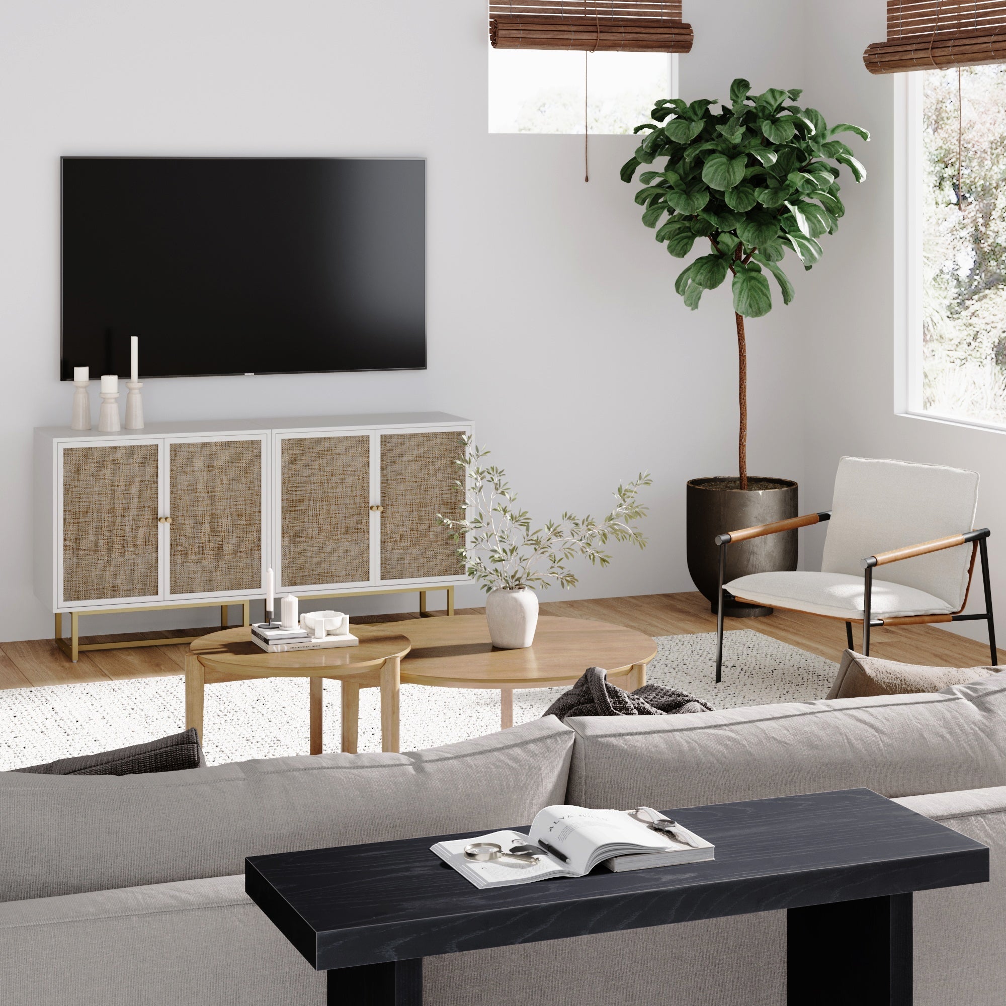 Metal and Rattan TV Stand Console for TVs up to 65"