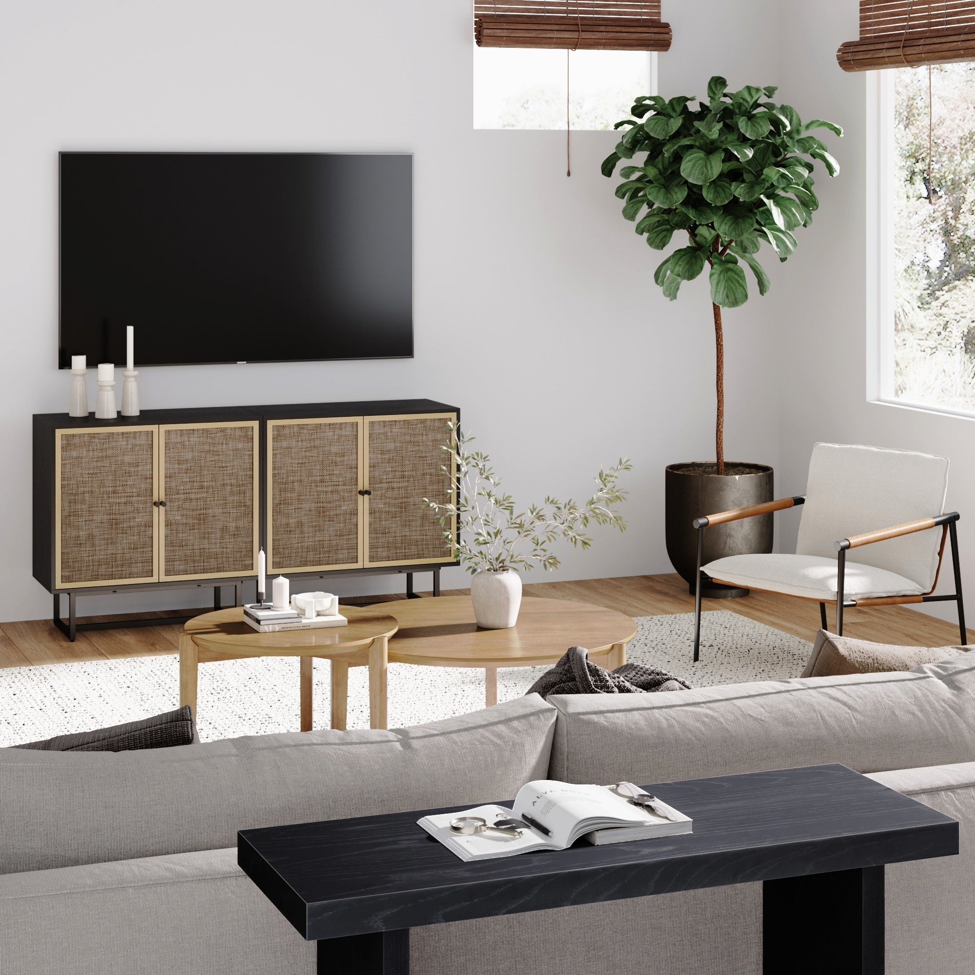 Metal and Rattan TV Stand Console for TVs up to 65"