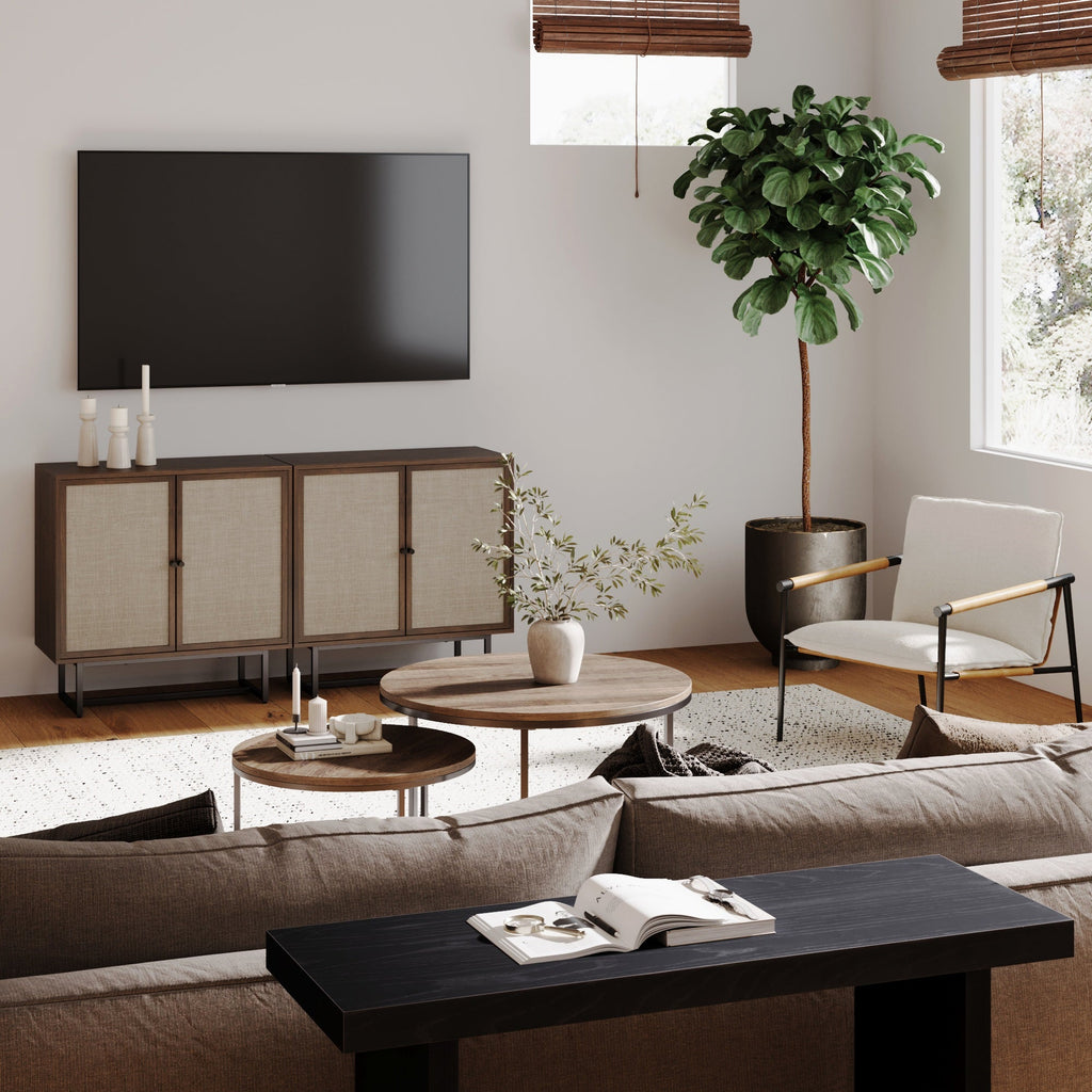 Metal and Rattan TV Stand Console for TVs up to 65"