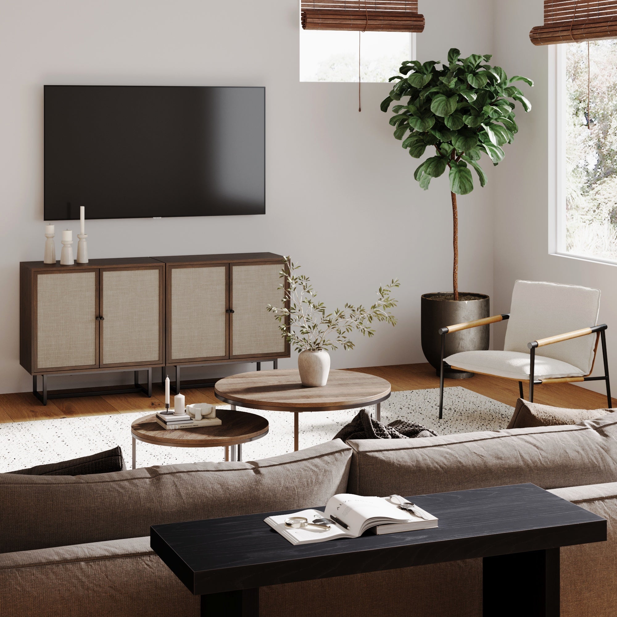 Metal and Rattan TV Stand Console for TVs up to 65"