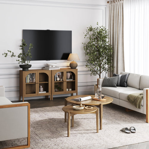 Arched Glass Door TV Console for TVs up to 65"