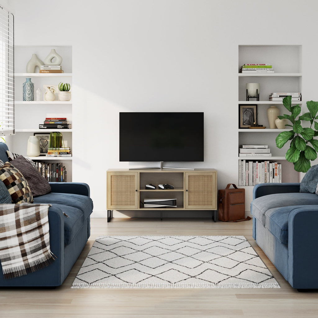 Rattan & Wood 2-Door TV Cabinet