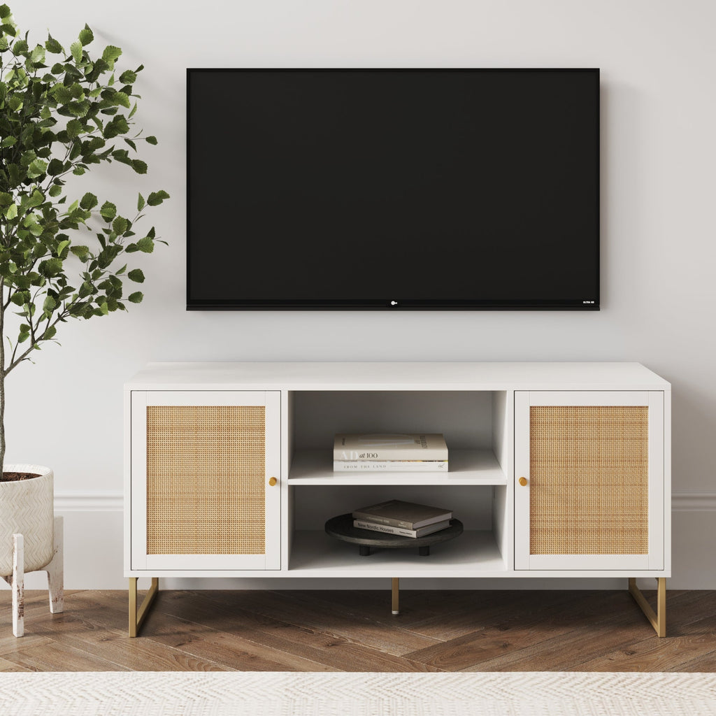 Rattan & Wood 2-Door TV Cabinet